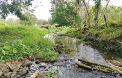 Florencia, San Carlos, Alajuela, San Carlos, Alajuela