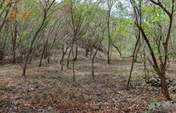 Esperanza Road, Nosara, Guanacaste Province