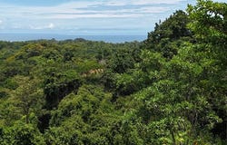 Exquisite Jungle property with Ocean View | Gated Community in Ojochal 3Exquisite Jungle property with Ocean View | Gated Community in Ojochal 3 Puerta Del Sol, Ojochal, Puntarenas, Costa Rica, Ojochal, Puntarenas