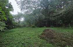 Cartago, Guarco, Vara del Roble, El Guarco, Cartago, El Guarco, Cartago