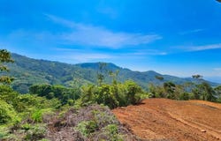 Finca 42 acres , San Isidro del General, Perez Zeledon, San Jose, Perez Zeledon, San Jose 20204