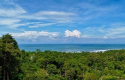 Barrio la colonia s/n, Bahía Ballena, Osa, Puntarenas, Osa, Puntarenas