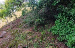 Lote en Chimirol, Costa Rica: Mountain Home Construction Site For Sale in San Isidro del General, San Isidro del General, San José