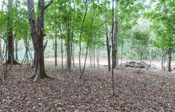 160, Santa Cruz, Guanacaste Province
