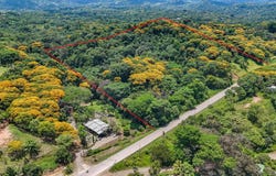 Puntarenas, Ojochal, Costa Rica, 60501, Ojochal, Puntarenas, Ojochal, Puntarenas