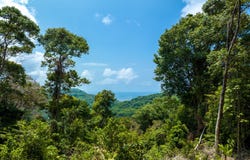 Finca Pacífica Barú, Savegre de Aguirre, Puntarenas Province