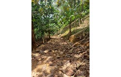 Corredores, Corredores, Puntarenas, Corredores, Puntarenas