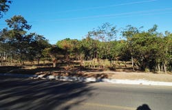 Ceiba, Orotina, Alajuela, Orotina, Alajuela
