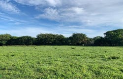 La Garita Nueva , Tamarindo, Santa Cruz, Guanacaste, Santa Cruz, Guanacaste 50309