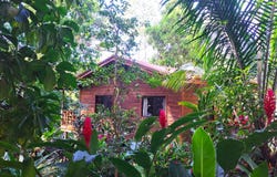 57G6+238, Puntarenas Province, Uvita, Costa Rica, Uvita, Puntarenas Province