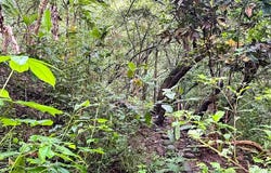Prime Commercial Lot Just Minutes from Manzanillo Beach - Manzanillo, Santa Teresa, Puntarenas Province
