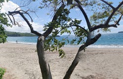 56G7+P3, Guanacaste Province, Paraiso, Costa Rica, Santa Cruz, Guanacaste Province