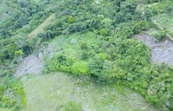 Miramar , Piedras Blancas, Osa, Puntarenas, Osa, Puntarenas