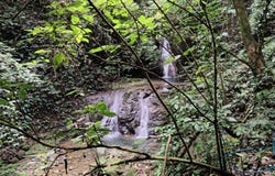 Balzar de Osa, Puntarenas, Costa Rica., Osa, Puntarenas, Osa, Puntarenas