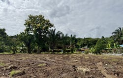 Golfito>Pavones, Pavones, Puntarenas, Pavones, Puntarenas