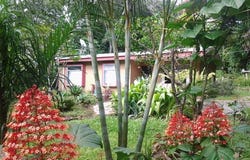 THE HIDDEN CREEK, Tierras Morenas, Guanacaste