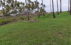 PUNATRENAS, Puntarenas, Puntarenas, Puntarenas, Puntarenas