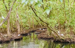 Playa Bajamar, Bajamar, Puntarenas, Bajamar, Puntarenas
