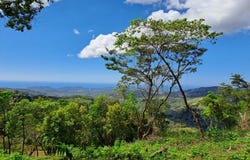 Sámara, Sámara, Guanacaste Province