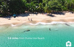 Punta Uva, Punta Uva, Limón Province