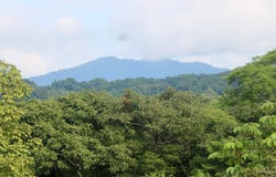Nature-Focused Eco Residential Lots in Santiago - Santiago, Santa Teresa, Puntarenas Province