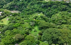 Brasil de Santa Ana, Santa Ana, San José, Santa Ana, San José