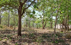 Puntarenas, Puntarenas, Garabito, Bajamar, Guacalillo, Garabito, Puntarenas, Garabito, Puntarenas