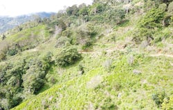 Herradura de Rivas, Pérez Zeledón, San José, Pérez Zeledón, San José
