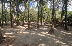 Playa Matapalo, Quepos, Puntarenas, Savegre de Quepos, Puntarenas, Savegre de Quepos, Puntarenas