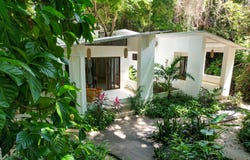 X86F+MX3, Guanacaste Province, Nosara, Costa Rica, Nicoya, Guanacaste Province