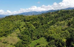 La Linda arriba, General Viejo, Pérez Zeledón, San José, Pérez Zeledón, San José