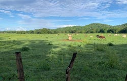 La Garita Nueva , Tamarindo, Santa Cruz, Guanacaste, Santa Cruz, Guanacaste 50309