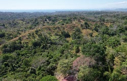 Finca Cobano. Santa Teresa: Near the Coast Agricultural Land For Sale in Santa Teresa, Santa Teresa, Puntarenas