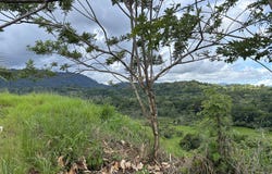 Quepos, Quepos, Puntarenas, Quepos, Puntarenas