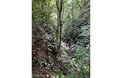 Quepos, Quepos, Puntarenas, Quepos, Puntarenas