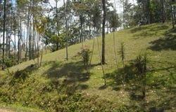 Chachagua Costa Rica near La Fortuna, San Carlos - La Fortuna, Alajuela, San Carlos - La Fortuna, Alajuela
