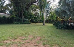 Puntarenas, Puntarenas, Puntarenas Province