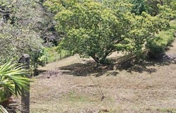 San Pablo, Turrubares, San Jose, Turrubares, San Jose 11601