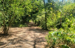 Playa del Coco, La Libertad, Sardinal, Guanacaste, Costa Rica, Sardinal, Guanacaste, Sardinal, Guanacaste