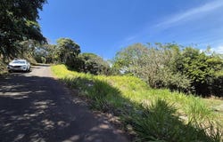 Buenos Aires, Palmares, Alajuela, Alajuela