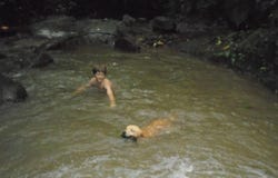 Venecia, San Carlos, Alajuela, San Carlos, Alajuela 21005