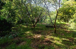 Nature-Focused Eco Residential Lots in Santiago - Santiago, Santa Teresa, Puntarenas Province