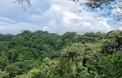 Santa Teresa Beach, Puntarenas Province, Puntarenas Province