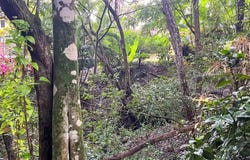 Prime Commercial Lot Just Minutes from Manzanillo Beach - Manzanillo, Santa Teresa, Puntarenas Province
