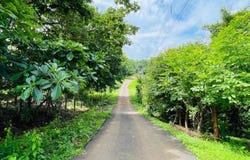 s/n, Ceiba, Orotina, Alajuela, Orotina, Alajuela