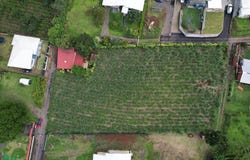 San Roque 20301, Grecia, Grecia, Alajuela, Grecia, Alajuela