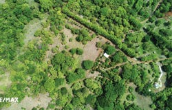 venado guanacaste, Cuajiniquil, Guanacaste, Cuajiniquil, Guanacaste
