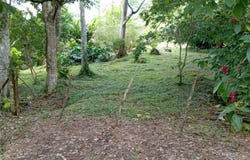 La Dominica s/n, Turrialba, Turrialba, Cartago, Turrialba, Cartago 30501