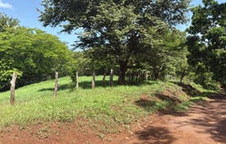 86X8+RGC, Provincia de Guanacaste, Huacas, Costa Rica, Tamarindo, Guanacaste Province