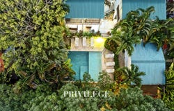 Puntarenas, Puntarenas Province 60101